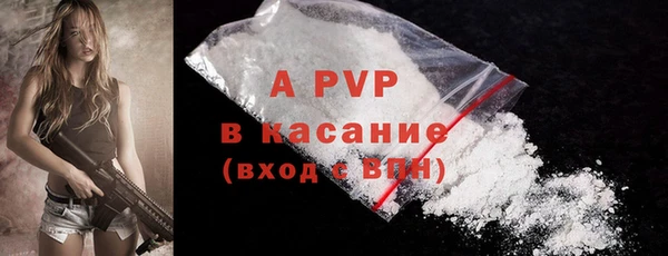 СК Аркадак