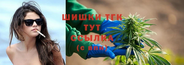 СК Аркадак