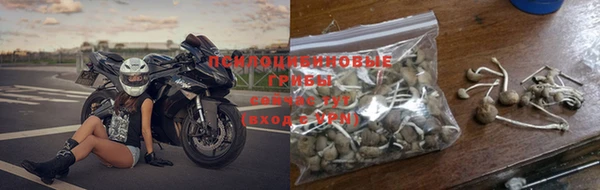 spice Армянск