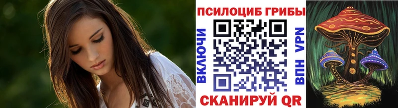 Купить где  Сычёвка  Галлюциногенные грибы Magic Shrooms 