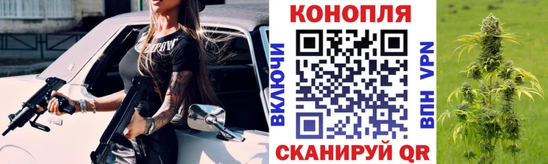 Бошки Шишки White Widow  Купить закладки  Сычёвка 